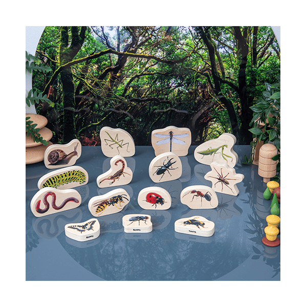 Lot 15 blocs fusta insectes