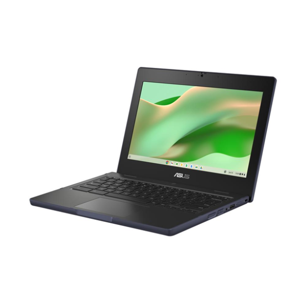 Asus Chromebook CR11 CR1104CTA-N00101 - 11.6