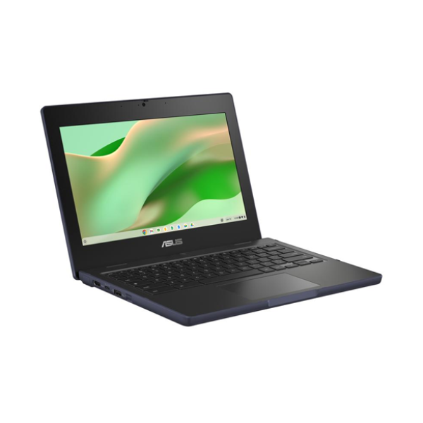 Asus Chromebook CR11 CR1104CTA-N00101 - 11.6