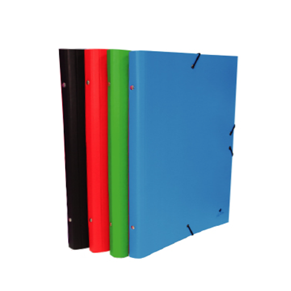 Carpeta gomes classificadora Foli prolongat