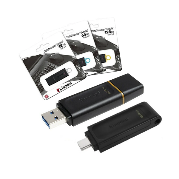 Memòria USB data traveler Kingston G2